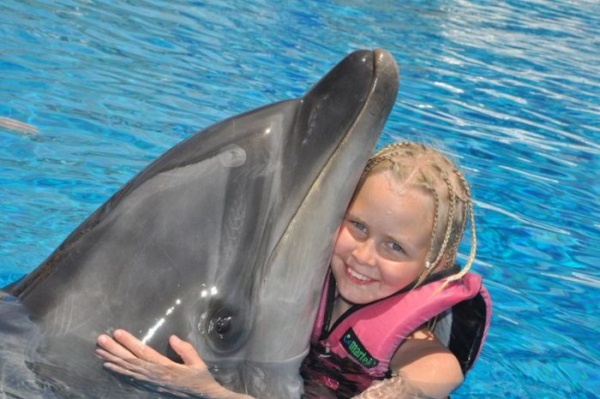 Swimming with Dolphins