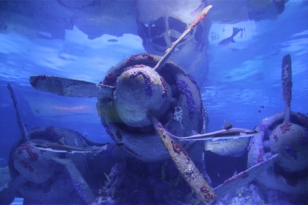 Antalya Aquarium