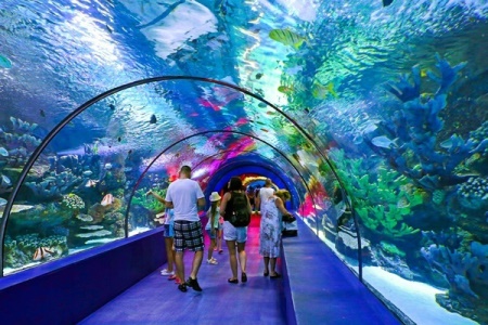 antalya-aquarium
