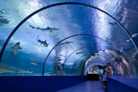 Antalya Aquarium