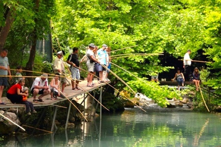 fishing-and-picnic-tour