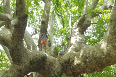 Kemer Jeep Safari Tour