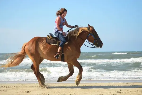 Book your Alanya Horse Riding Tour! Enjoy a 2.5-hour Horse Safari trip through the Taurus Mountains. Best excursion with Syedra Castle views. Transfer included!