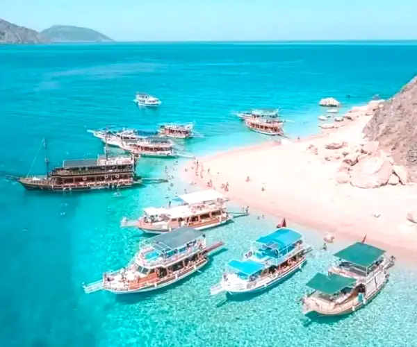 Boat Tours